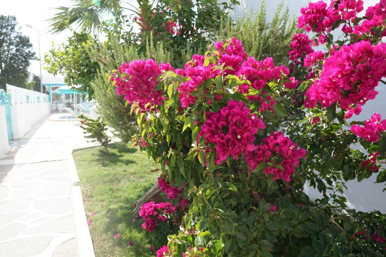 Casa Aria Hotel Гумбет Экстерьер фото